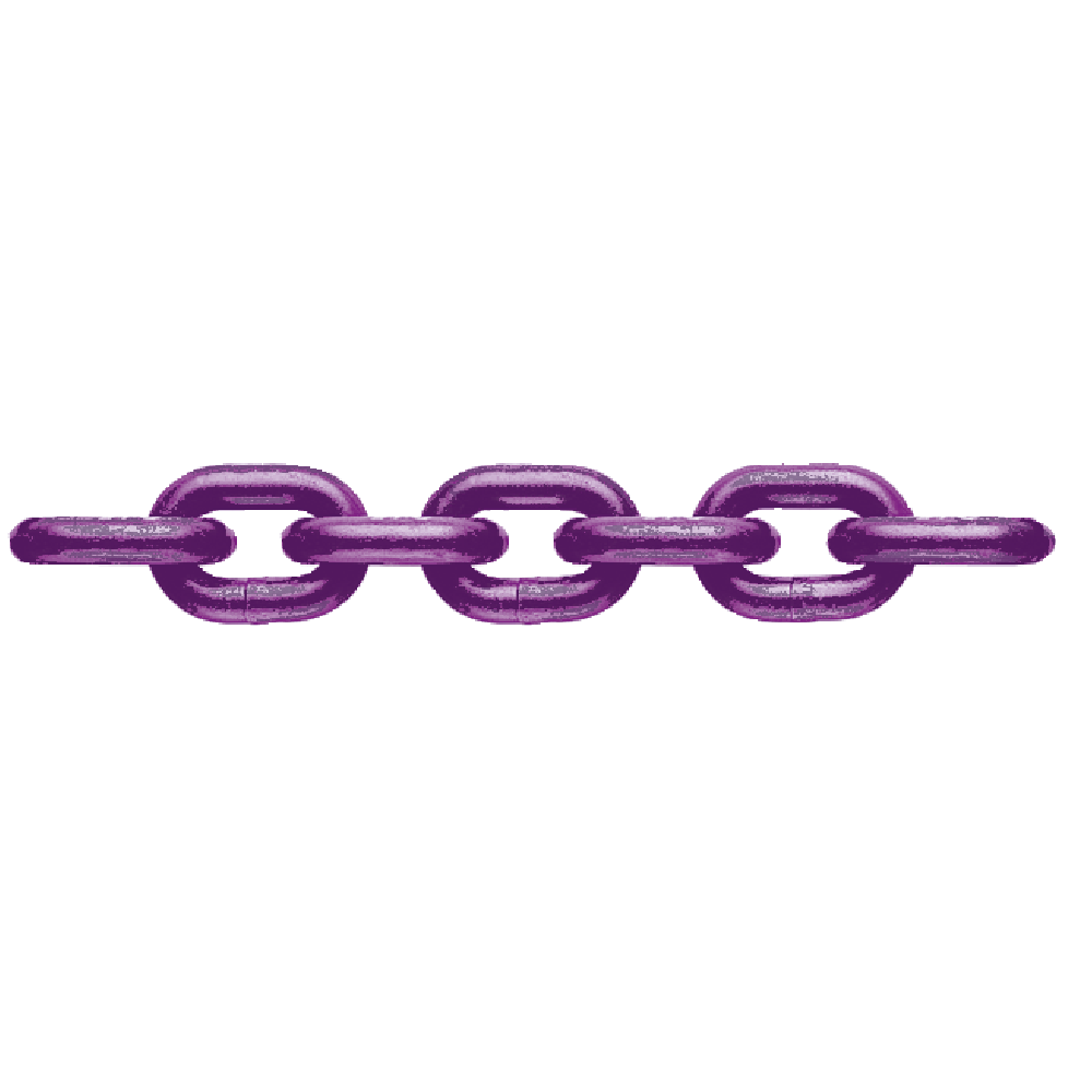 Chain SA/S - EN818-2 Gr. 10
