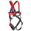 Harness ERGO (EN 361)