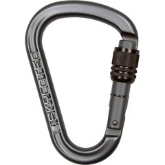 Carabiner passO-SC Skylotec