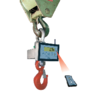 MCW crane scale