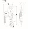 Handkettenzug Rema Select 200