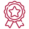 Icon Qualität