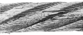 asset_image
