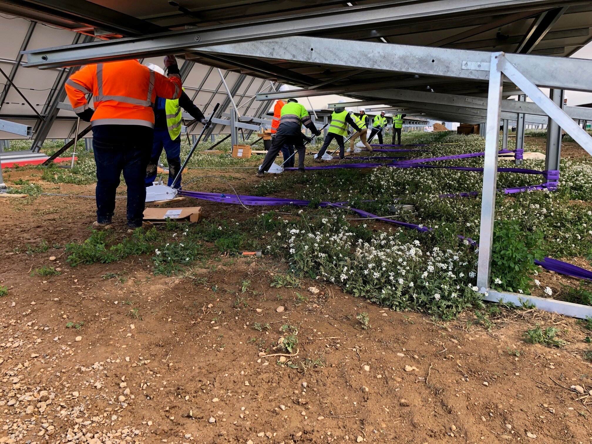 case study bild powertex